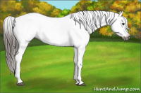 Horse Color:Gray Black Tobiano Blanket 