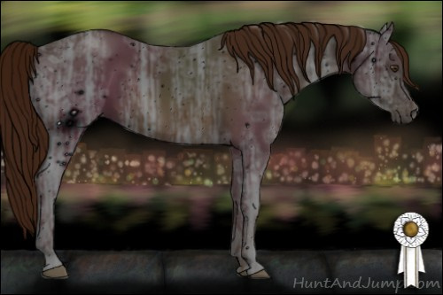 Horse Color: ERROR: UNKNOWN ANOMALY