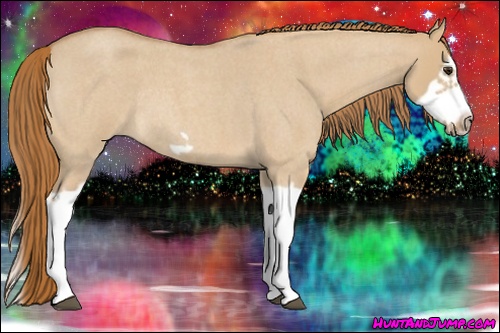 Horse Color: Red Dun Roan Splash Frame Rabicano 