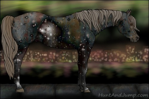 Horse Color: ERROR: UNKNOWN ANOMALY