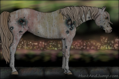 Horse Color: ERROR: UNKNOWN ANOMALY