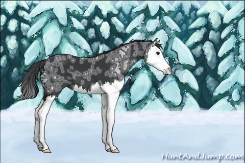 Horse Color:Black Ice Splash 