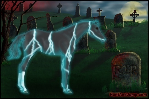 Horse Color:Thunderstruck Black 