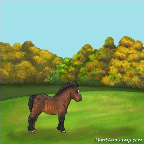 Horse Color:Brown 