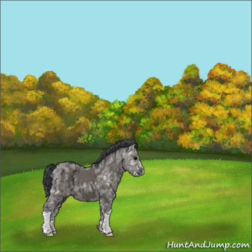 Horse Color:Grullo Ice 