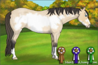 Horse Color:Buckskin Roan Frame Rabicano 