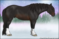 Horse Color:Gray Bay 