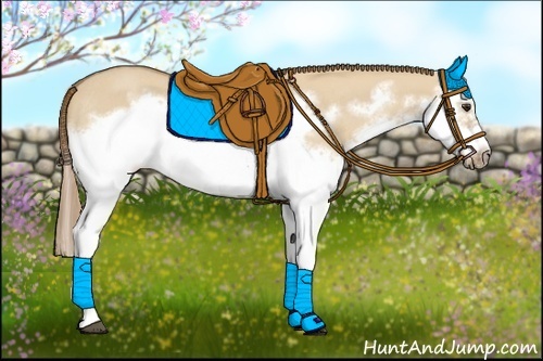 Horse Color:Red Dun Roan Splash Frame Rabicano