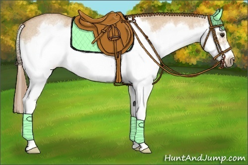 Horse Color:Red Dun Roan Splash Frame Rabicano 