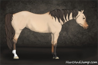 Horse Color:Bay Dun