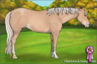 Horse Color:Silver Classic Champagne Sabino