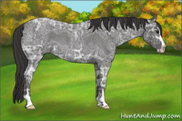 Horse Color:Smoky Blue Ice Roan Sabino