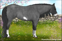 Horse Color:Blue Roan Splash Frame Rabicano 