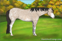 Horse Color:Bay Ice Dun Sabino 