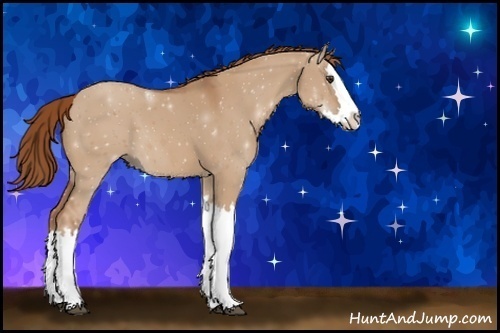 Horse Color:Unknown 