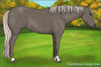 Horse Color:Silver Black 