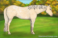 Horse Color:Palomino Ice Dun