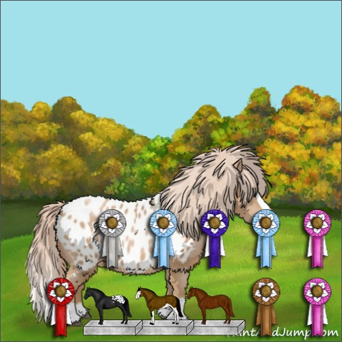 Horse Color:Chestnut Snowdrop Pearl Sabino Splash Near Leopard 
