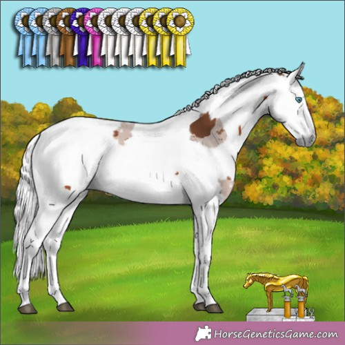 Horse Color:Bay Merle 