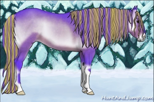 Horse Color:Painted Watercolor Brown Onyx 