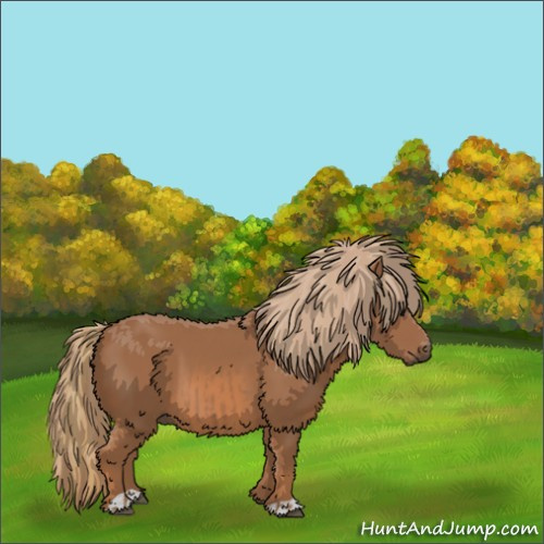 Horse Color:Chestnut  and Chestnut 