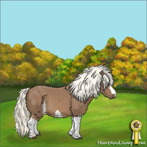 Horse Color:Chestnut Mushroom 