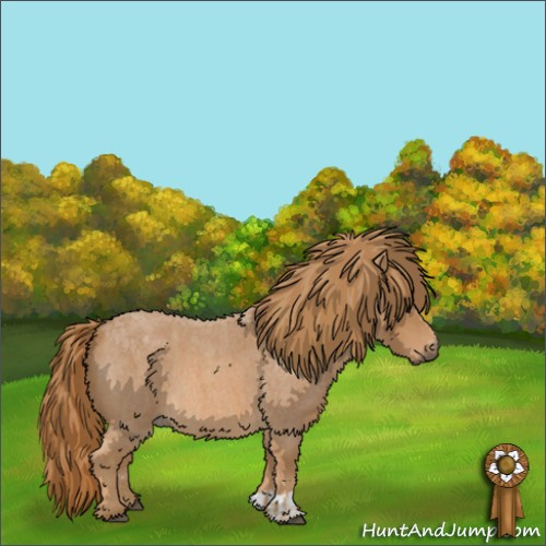 Horse Color:Red Roan  and Red Roan 
