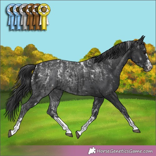 Horse Color:Powder White Black  and Powder White Black 