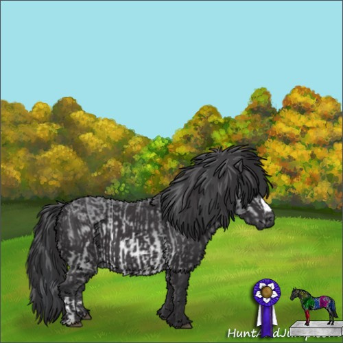 Horse Color:Buckskin Chinchilla  and Buckskin Chinchilla 