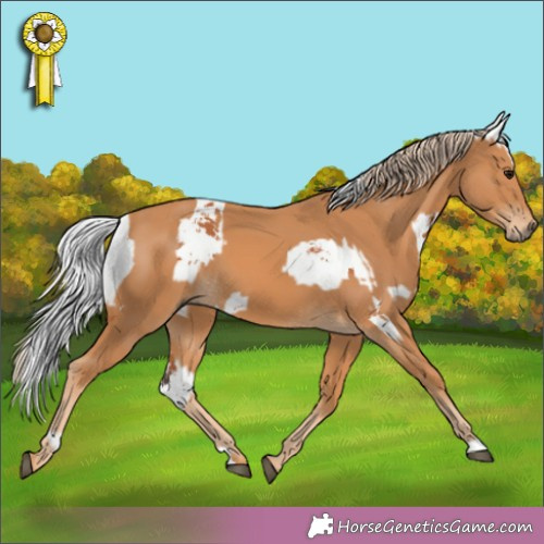Horse Color:Brown Merle  and Chestnut  and Brown Merle 