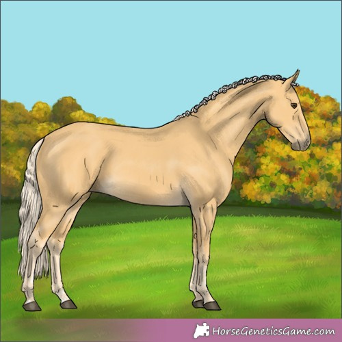 Horse Color:Palomino  and Palomino 
