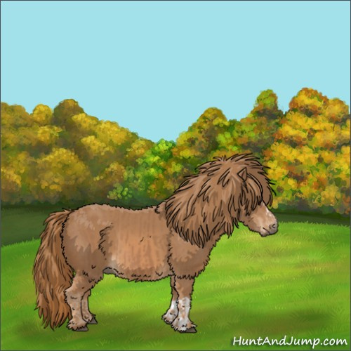 Horse Color:Chestnut  and Chestnut 