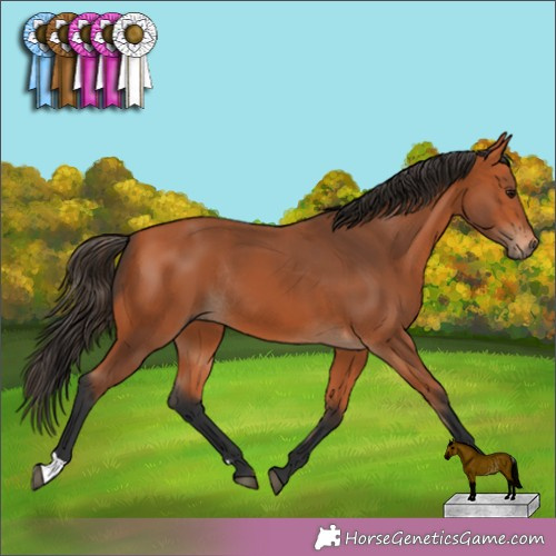 Horse Color:Bay  and Bay Rabicano  and Bay 