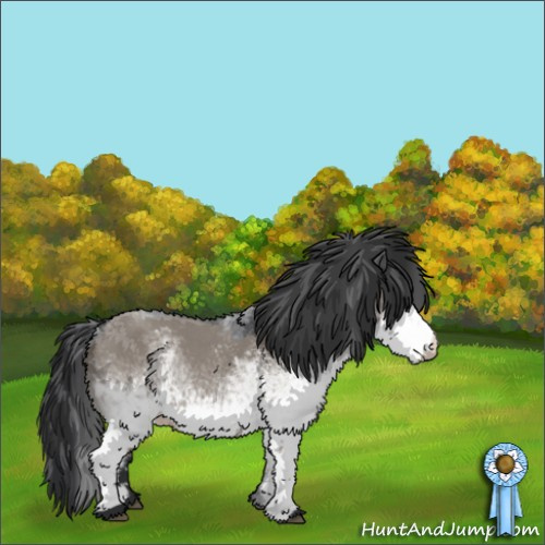 Horse Color:White Spotted Blue Roan Rabicano  and White Spotted Grullo Roan Rabicano  and White Spotted Blue Roan Rabicano 