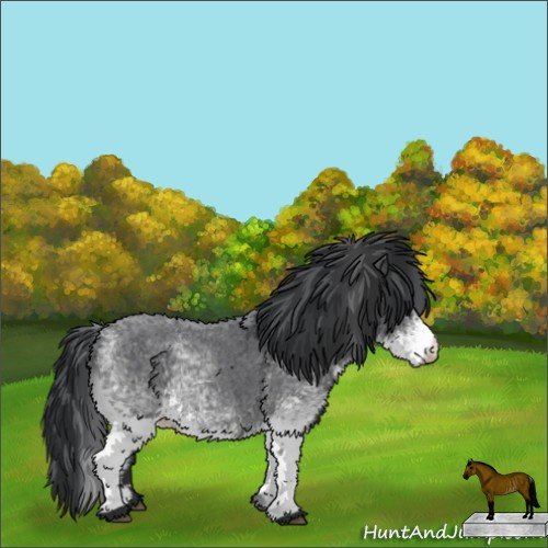 Horse Color:White Spotted Blue Roan Rabicano  and White Spotted Brown Roan Rabicano  and White Spotted Blue Roan Rabicano 
