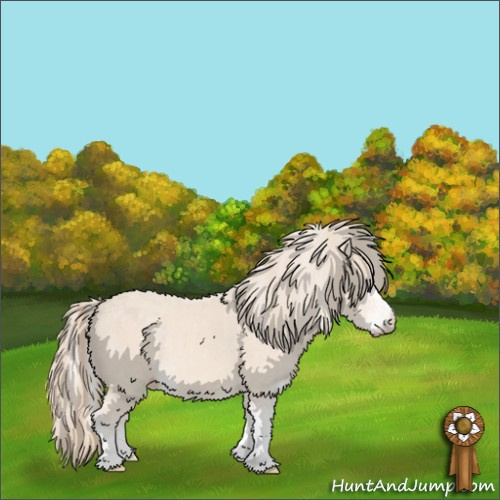 Horse Color:Cremello Sabino  and Perlino Sabino  and Cremello Sabino 