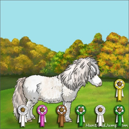 Horse Color:Chocolate Palomino Pearl Dun Sabino Snowcap Rabicano  and White Spotted Chocolate Palomino Pearl Dun Snowcap Rabicano  and Chocolate Palomino Pearl Dun Sabino Snowcap Rabicano 