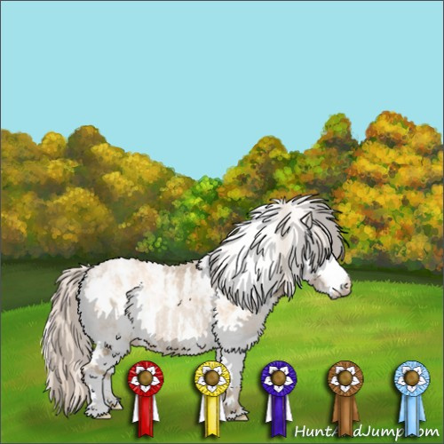 Horse Color:Chocolate Palomino Pearl Sabino Appaloosa Rabicano  and Palomino Pearl Sabino Appaloosa Rabicano  and Chocolate Palomino Pearl Sabino Appaloosa Rabicano 