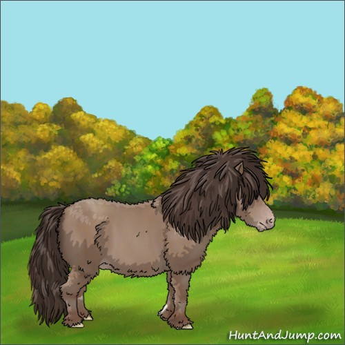 Horse Color:Classic Champagne  and Classic Champagne  and Classic Champagne 