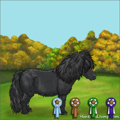 Horse Color: Black  and Black  and Black 