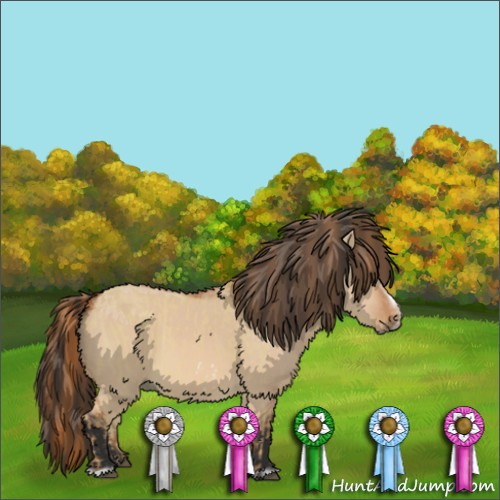 Horse Color:Red Dun Splash Frame  and Bay Dun Splash Frame  and Red Dun Splash Frame 