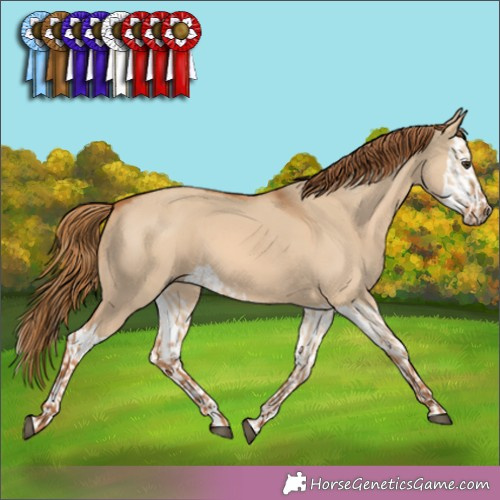 Horse Color:Red Dun  and Red Dun Splash  and Red Dun 
