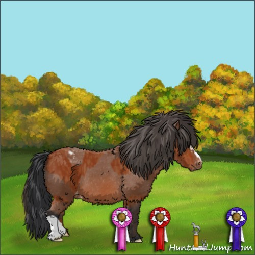 Horse Color:Bay  and Bay Varnish  and Bay 