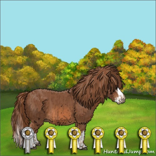 Horse Color:Chestnut  and Chestnut Splash  and Chestnut  and Chestnut 