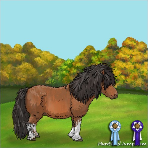 Horse Color:Bay  and Bay 