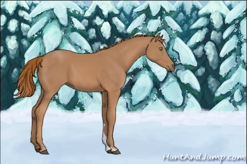 Horse Color:ERROR: UNKNOWN ANOMALY