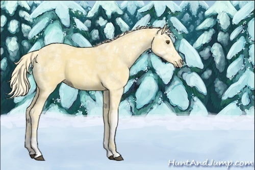 Horse Color:Palomino Ice Dun 
