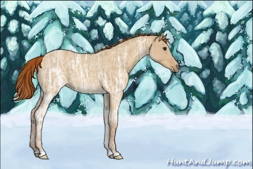 Horse Color:ERROR: UNKNOWN ANOMALY