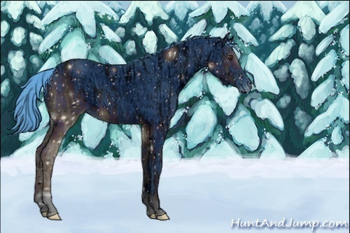 Horse Color:ERROR: UNKNOWN ANOMALY