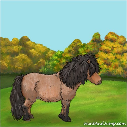 Horse Color:Bay Roan  and Bay Roan 